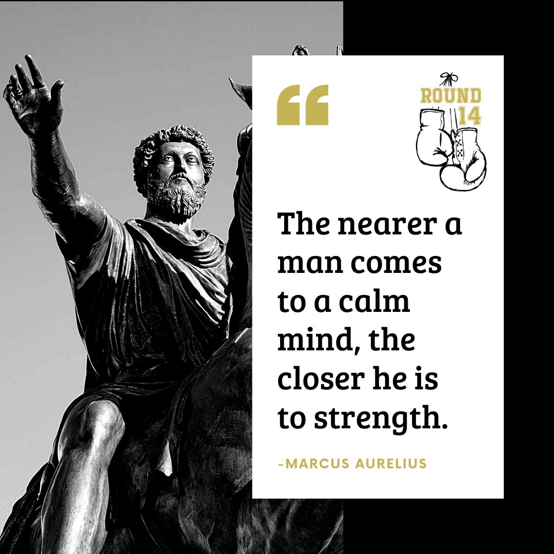 Round14_life's tweet photo. Wise words from Roman emperor and philosopher Marcus Aurelius! Do you attack your problems out of control in a rage, or can you take a step back and make a calm, calculated decision? That can be the difference in winning and losing!! ⚔️
.
#marcusaurelius #dailyquote https://t.co/hcTK29JXuE
