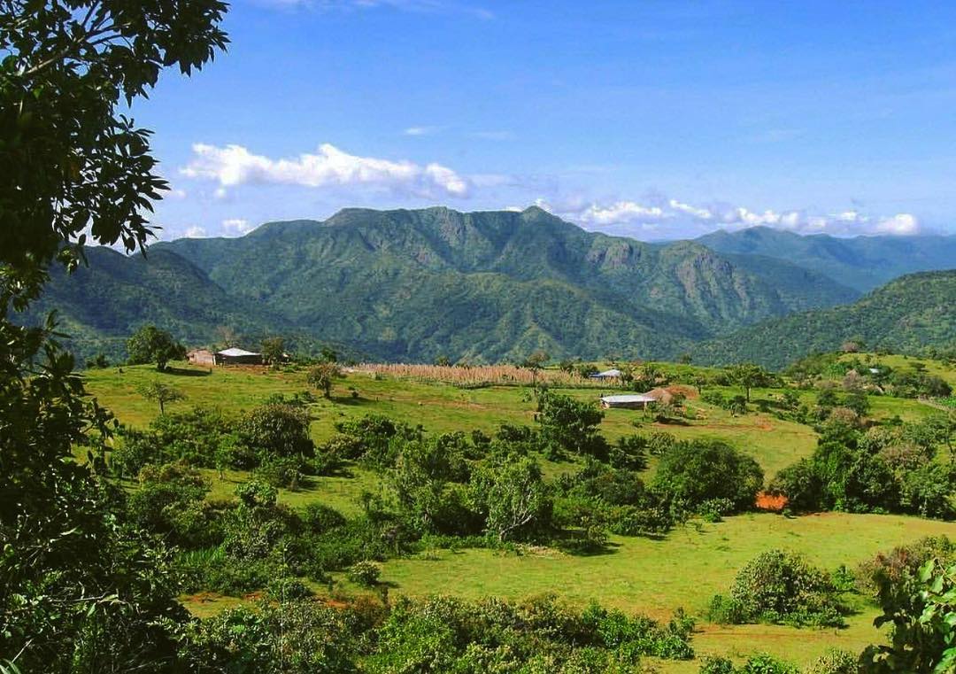 This is d Mambilla tea estate in Taraba.

Retweet to educate someone on ur timeline Nigeria is beautiful 
#Nigeria #visitnigerianow #visitnigeria #explorenigeria #naijatour #mambilla #nigeriaisbeautiful #9ja #nigeriatour #comebacktoafrica #WestAfrica #coronavirus