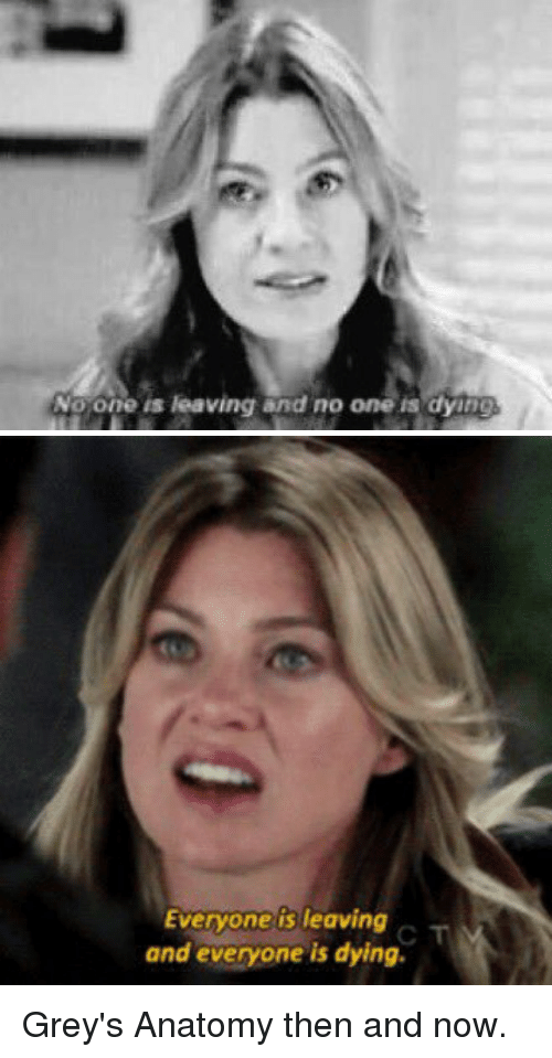 AddisonSh3pard's tweet image. 