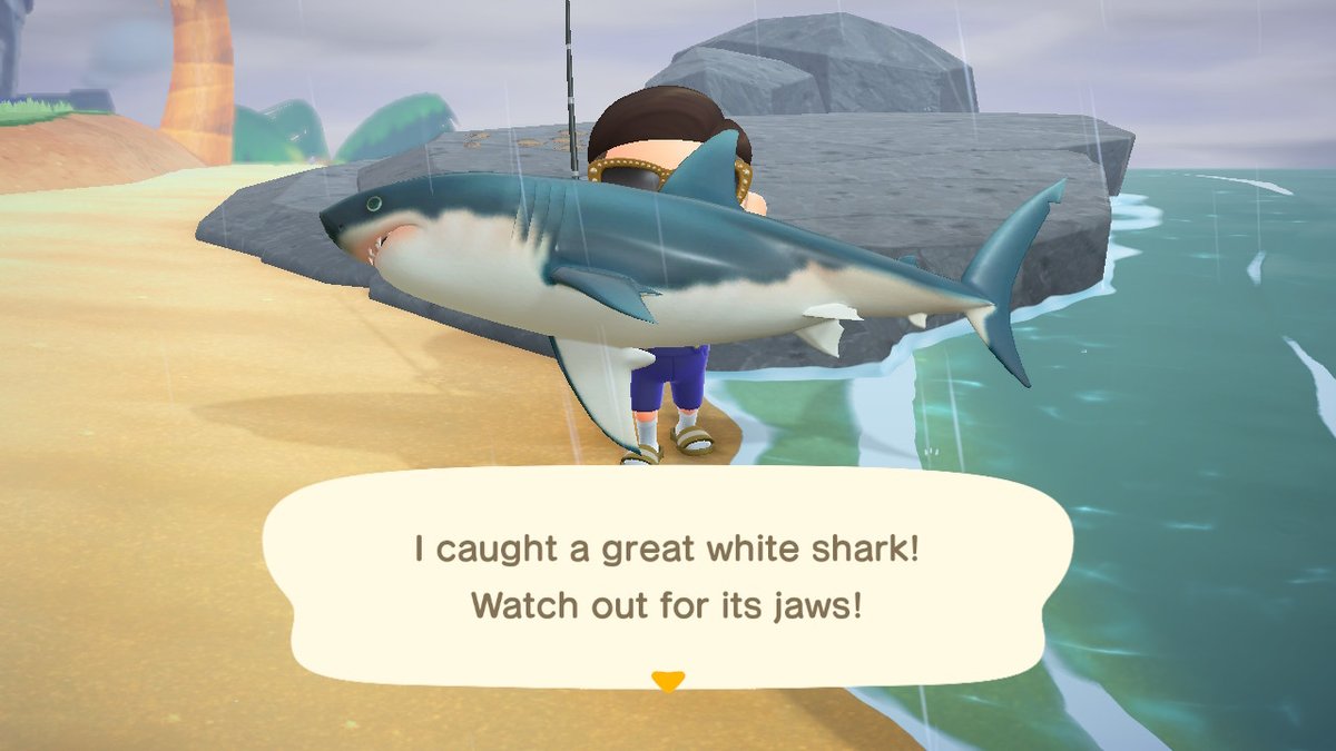 LadyFromKamloop's tweet image. #AnimalCrossing #ACNH #NintendoSwitch