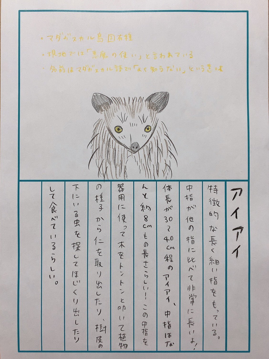 田村響華 アイアイ 見た目ちょっと怖いよね 再現しきれなかった 笑 上下の門歯は一生伸び続けるらしいよ どうぶつ図鑑 92日後に終わる絵日記 27日目 あと65日 どうぶつよーいドン T Co Cuytmd1ynt Twitter