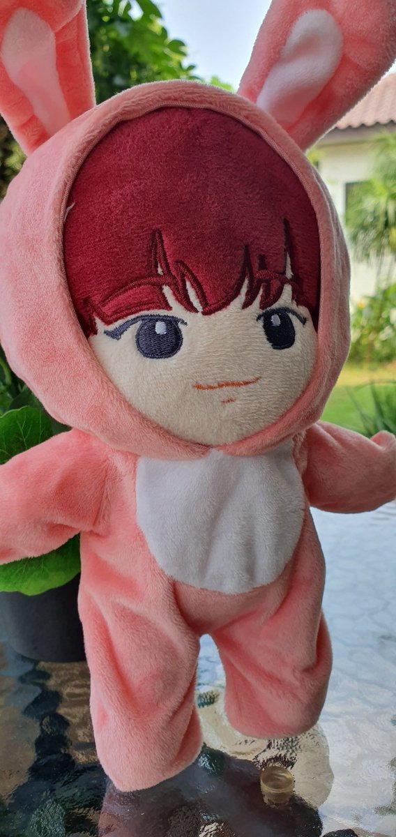 Pan Pan 🐼 tweet media