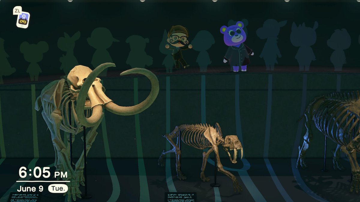 LadyFromKamloop's tweet image. #AnimalCrossing #ACNH #NintendoSwitch