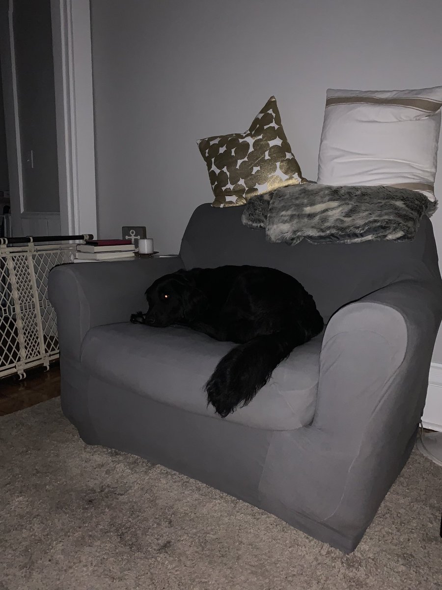 suzeq8385's tweet photo. I’m doing a real good job supervising Nellie. #finallysleeping https://t.co/thLfT29GOL