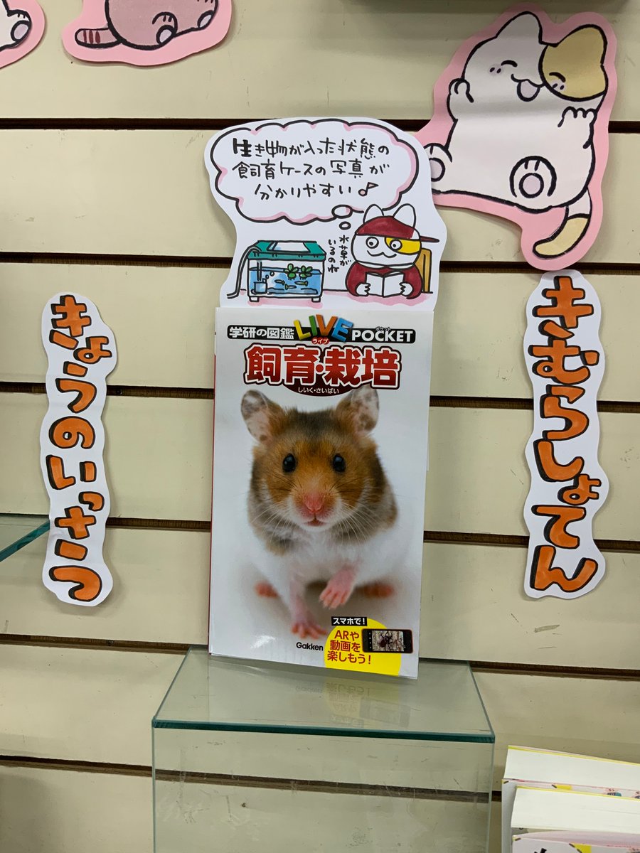 本日紹介する本は「学研の図鑑 飼育・栽培(学研プラス)」です。この夏生き物をお家で観察したいと思ったら手に取ってほしいのがこの本。生き物が入った状態の飼育ケースの写真がとても分かりやすく、飼育ケースに入れるアイテムや飼育のポイント・生き物の特徴もしっかり掲載されています。