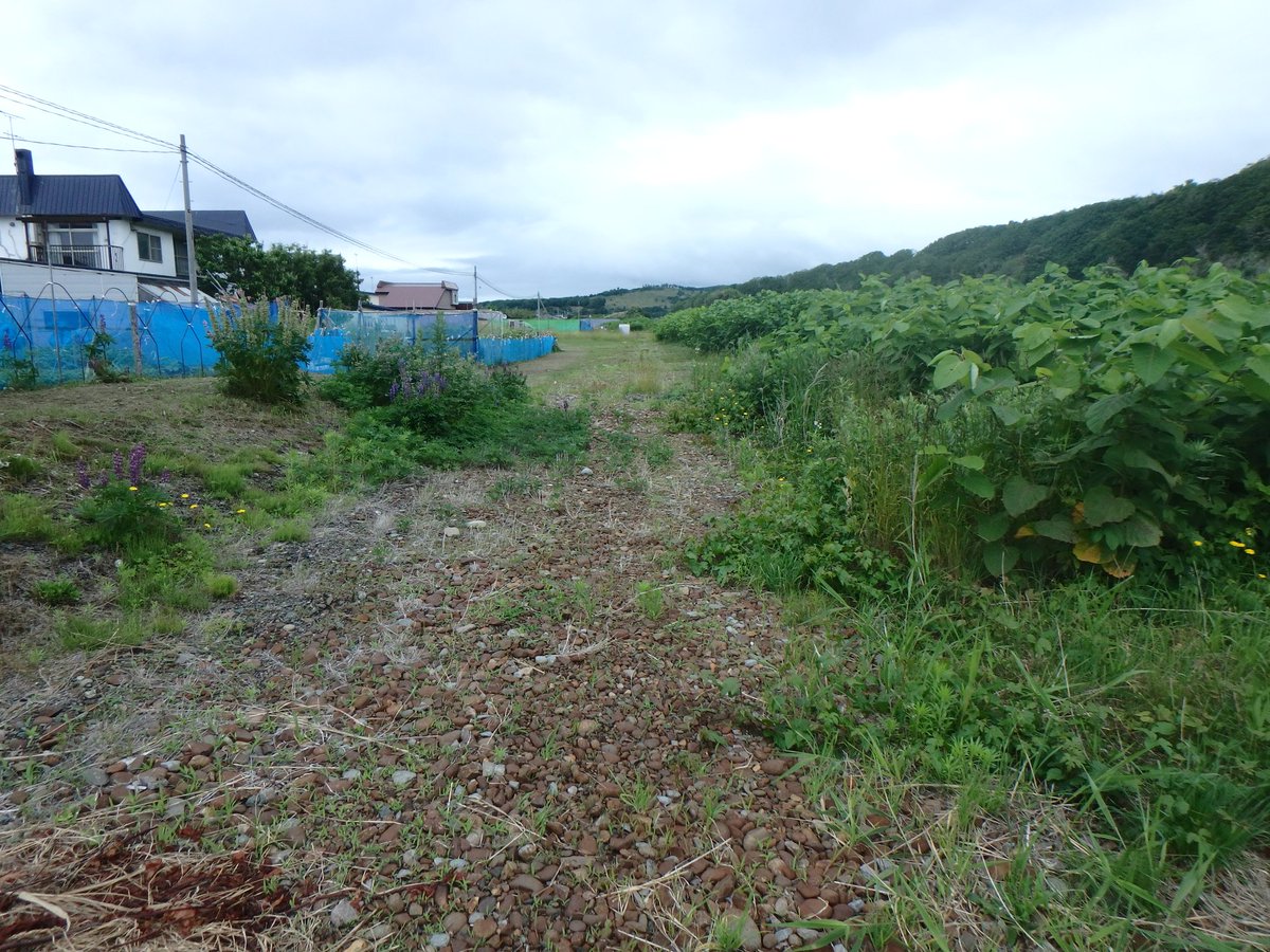 とに 通常運行in相模原 على تويتر Jr北海道の留萌本線の廃線区間の舎熊駅跡を出ました 1枚目はホームの形跡 2は駅前 3は留萌方 4は増毛方です 民家が結構ある集落です 旅 留萌 増毛 Jr北海道 留萌本線 留萌線 舎熊駅