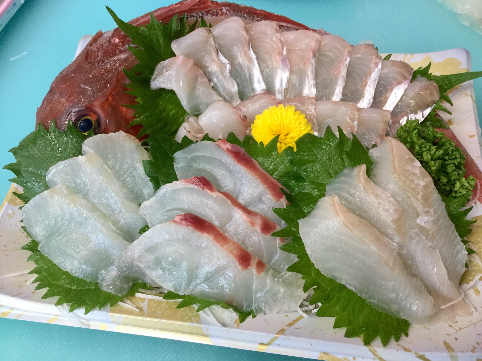 田清魚店 Tekuteほんしおがま こんにちは 田清魚店tekuteほんしおがまです 本日のおすすめは生食用の殻付き牡蠣 本まぐろホシ 心臓 宮城県産刺身盛合せ カナガシラ マコガレイ 真鯛 アイナメ入り 本まぐろ入り刺身5点盛となっております 田