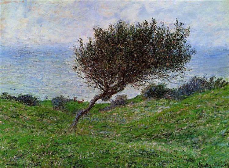 hiddenthread_'s tweet photo. Monet vibes . https://t.co/ReQcCADS0v