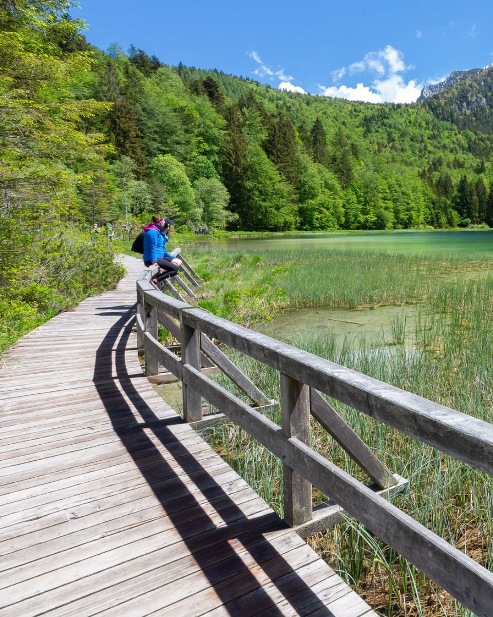 Inzell im Chiemgau (@inzell_urlaub) on Twitter photo Der Frillensee in Inzell. Immer wieder schön 🤩 🤗
...
#chiemnow! #inzellimchiemgau #urlaubinzell #urlaubbayern #bayern #natur #sonne #frillensee #wasser #panorama #reiselust #feelgood
<a href="/Erwin/">PhotogErwin</a> H. Fotos Juni 2020 Der Frillensee in Inzell. Immer wieder schön 🤩 🤗
...
#chiemnow! #inzellimchiemgau #urlaubinzell #urlaubbayern #bayern #natur #sonne #frillensee #wasser #panorama #reiselust #feelgood
<a href="/Erwin/">PhotogErwin</a> H. Fotos Juni 2020