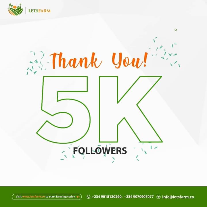 letsfarm_co's tweet photo. Thank you all!💝
5,000 #instagram followers!!
#letsfarmtogether #empoweringfarmerstogether #changinglives #agricislife #foodsecurity #investinginagriculture #letsfarmfish #letsfarmcassavafarm #letsfarmgarri #letsfarmgarrifactory #letsfarmfishfarm #NPowerNG https://t.co/iSbrRcQiU9