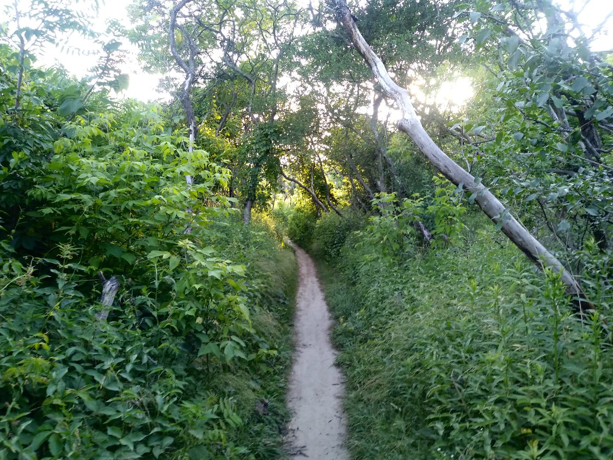 exploretofit's tweet photo. Was a brisk 18.5 km with the group tonight ☺ Nice to be back with our peeps. #MRAC #Nightwalkers #TorontoWalking #TorontoExercise #TorontoCardio https://t.co/IcgF81k4JQ