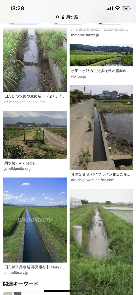 店長ren んんんんちょっと違うww 田んぼのあぜ道の横とかにあるやつ 都会のは雨水とか流すだけ のやつ やけど 田舎のは田んぼの水入れるときに使う水路 こーゆーの