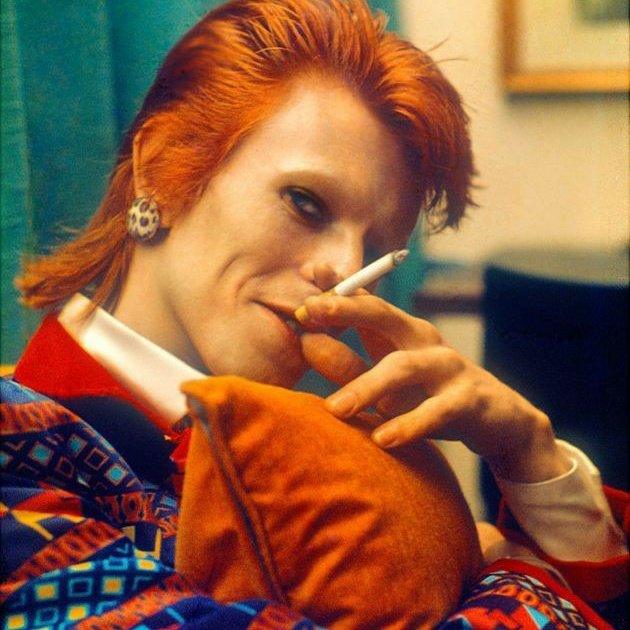 david bowie as frogs: a thread.