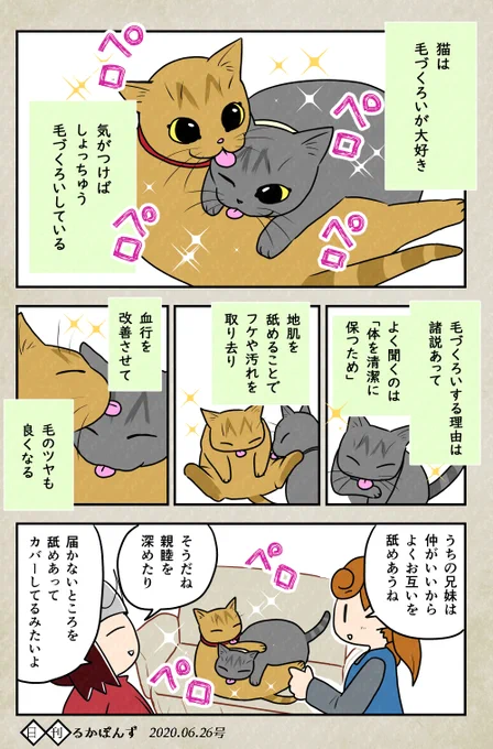 猫が体を舐める理由(全3ページ)。#豆知識マンガ #猫漫画 #猫のいる暮らし 