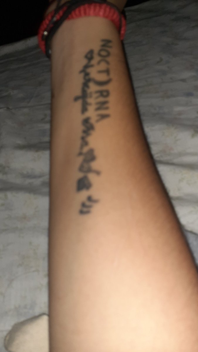 🇻🇪Majida Issa Vzla 🇻 tweet media