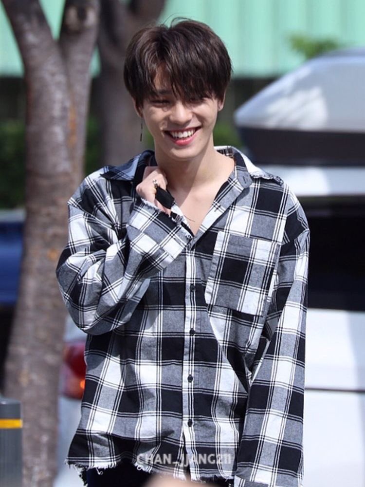 FLANNEL  #DINO;;; a thread #SEVENTEEN    @pledis_17