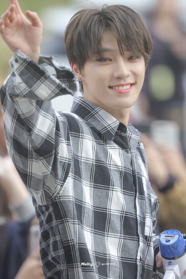 FLANNEL  #DINO;;; a thread #SEVENTEEN    @pledis_17