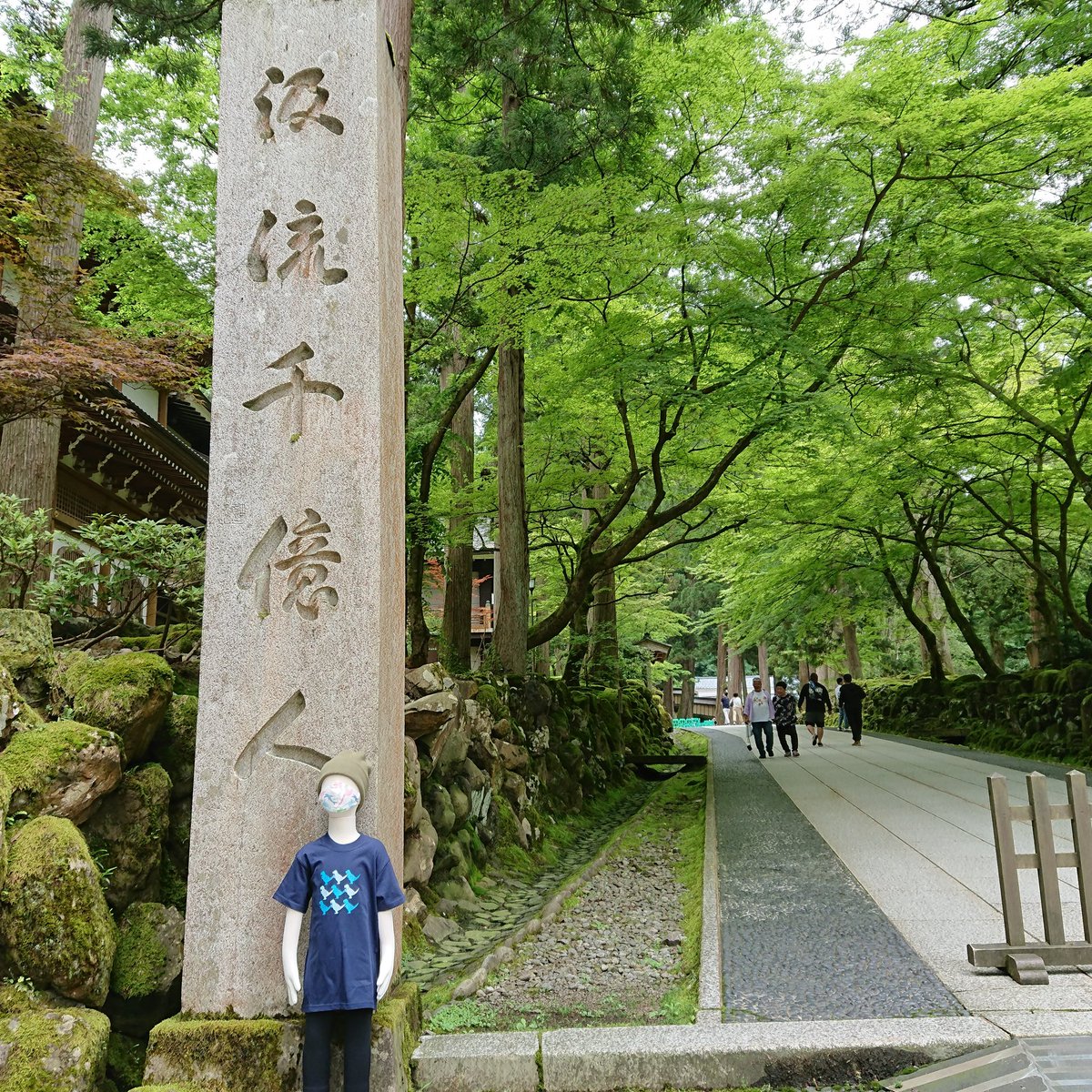 ちゃまりゅう 可愛いオリジナル恐竜キャラクターグッズ على تويتر りゅうくんのお父さんの横須賀の父母が去年と一昨年 立て続けて亡くなったけど コロナ騒ぎで横須賀まで行けず 近くの永平寺で供養してもらいに来たの 新緑がきれいだね 可愛い恐竜 可愛い
