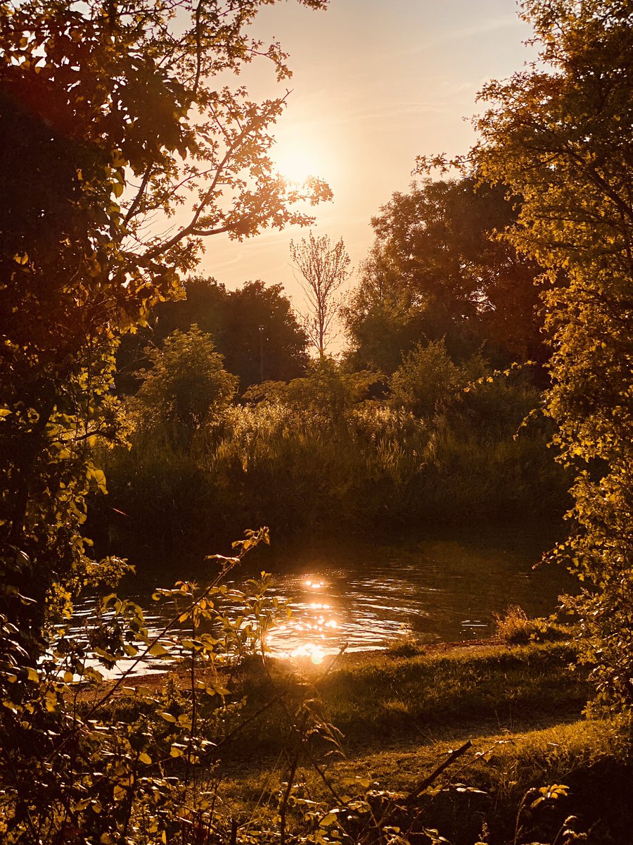scenesfromMK's tweet photo. Evening stroll along the canalside
@GillPrincePhoto @PhillCrowe @mkfuturenow @DestinationMK @_MiltonKeynes @TheParksTrust #UnexpectedMK #LoveMK #UndiscoveredMK #CanalsideMK https://t.co/GyiNXLtKTa