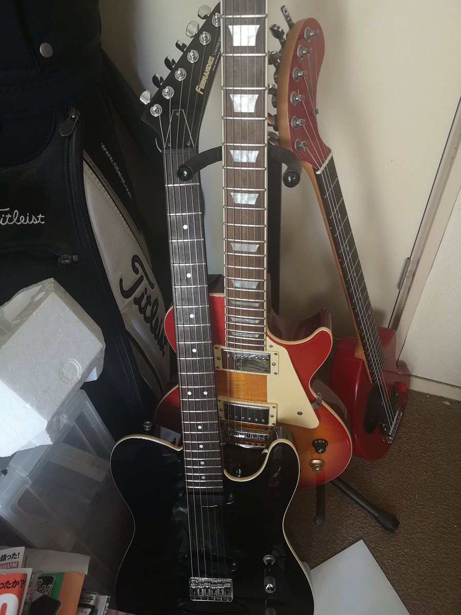 フェルナンデスtej