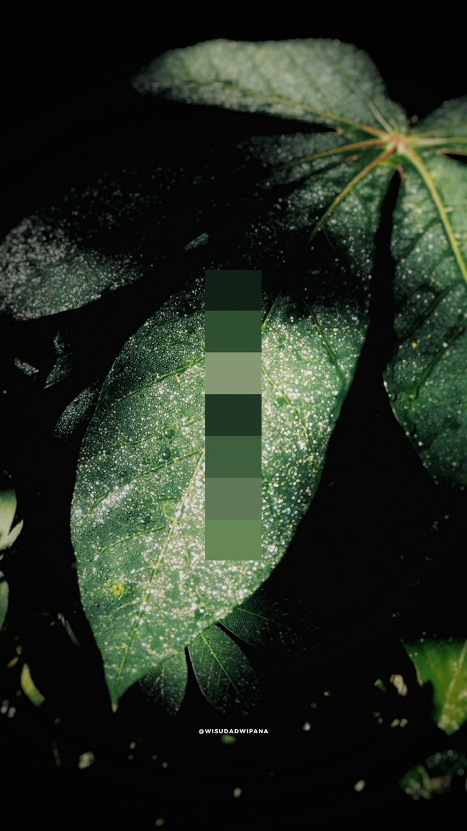 WisudaDwipana's tweet image. Hp rusak gamasalah semasih kameranya aman wkwk #redminote3pro #vsco @vsco