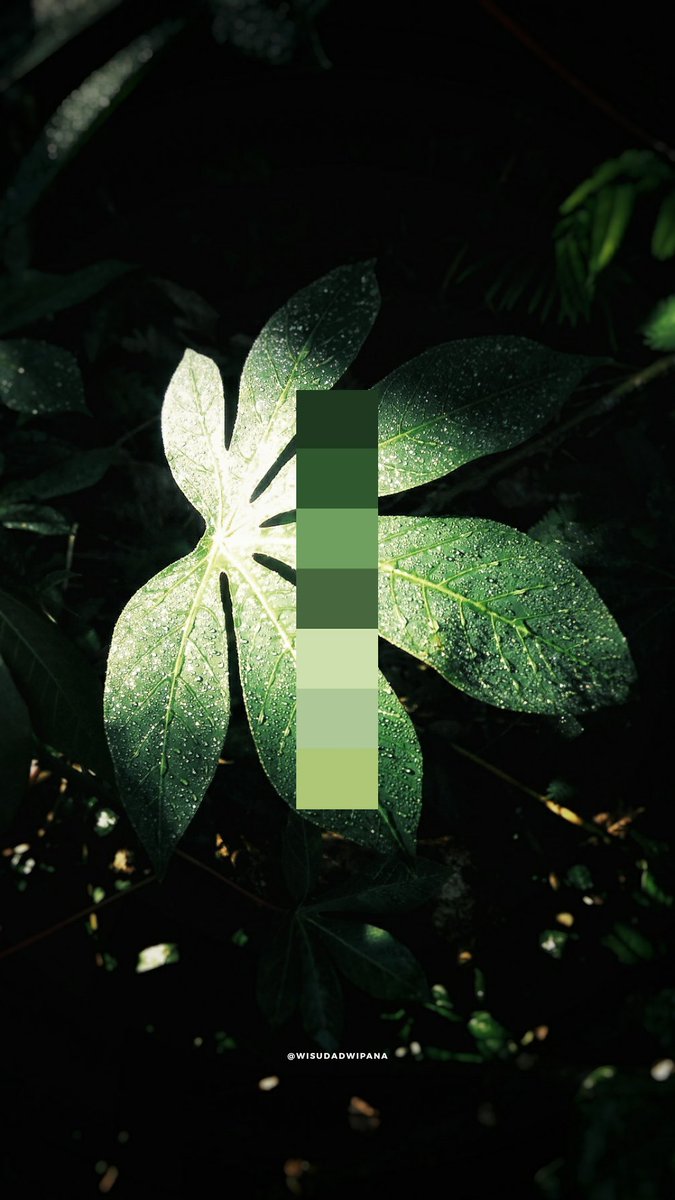 WisudaDwipana's tweet image. Hp rusak gamasalah semasih kameranya aman wkwk #redminote3pro #vsco @vsco