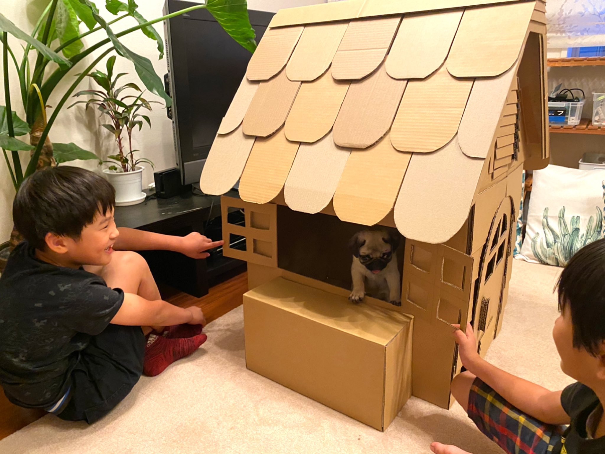 Twitter 上的 5歳 自転車日本縦断中 ダンボール工作を本気でやったらちゃんとした家が出来上がった 息子たちとパグジローが楽しそうに暮している ダンボールチャレンジ Sponsored T Co Cbtnc51cmq T Co Zhbl2nyzrc Twitter