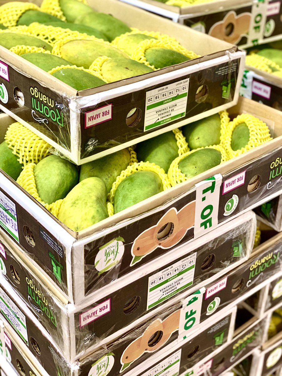 TradeTokyo's tweet photo. Welcoming the first consignment of Pakistani #mangoes in #Japan - #Sindhari of Tando Allah Yar &amp; Rahim Yar Khan to lead 🥭 
#ProductofPakistan 
@tdap_official @Emergingpk @PHDEC_GoP @MOC_PAK @mnfsr @METI_JPN https://t.co/qR9QcMo8ZQ