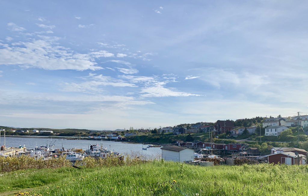 Tricentia Academy Athletics tweet media