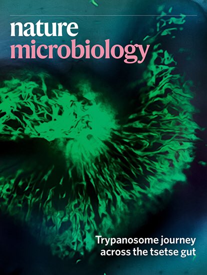 Aitor Casas-Sanchez tweet media