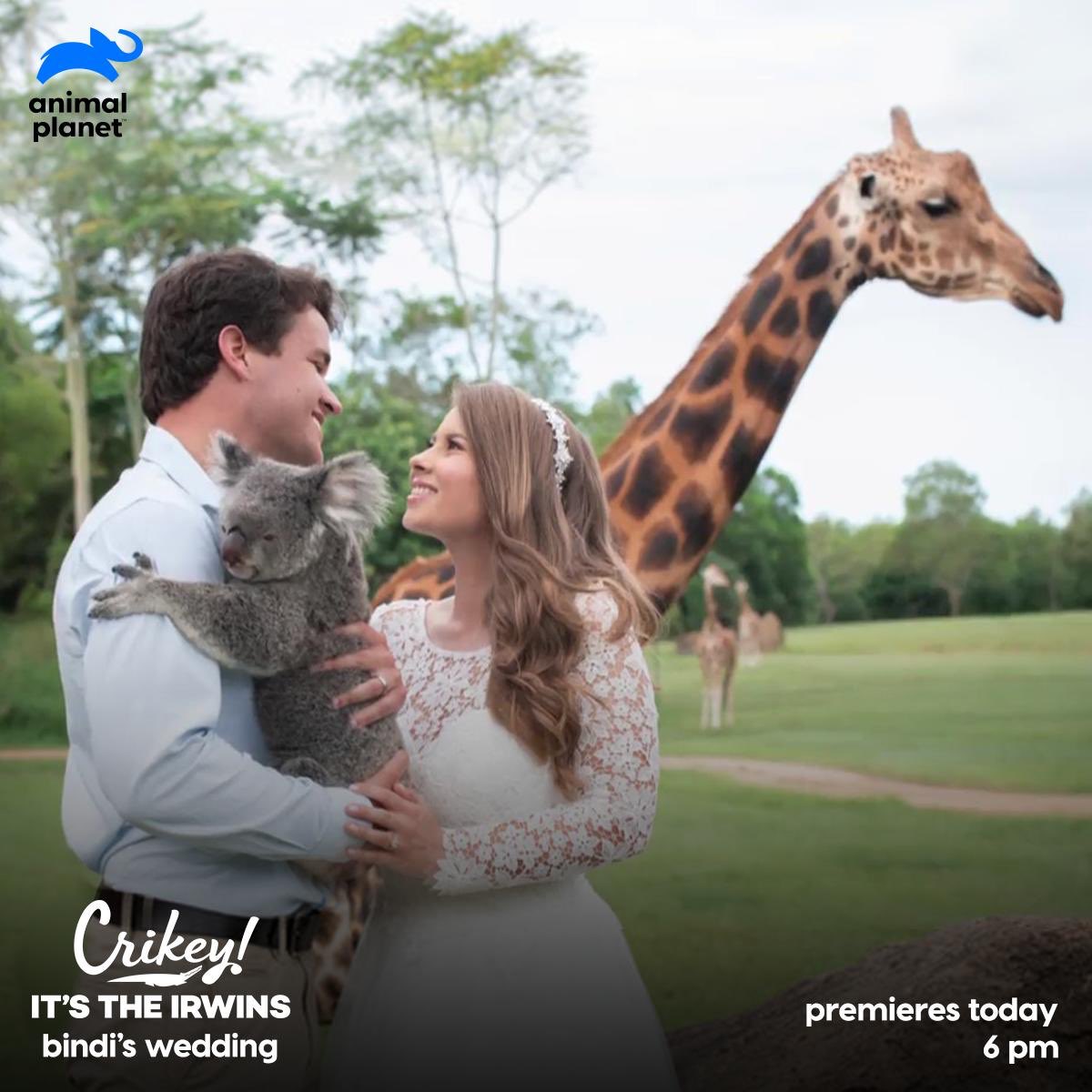 Animal Planet India on Twitter: Animal Planet India on Twitter: