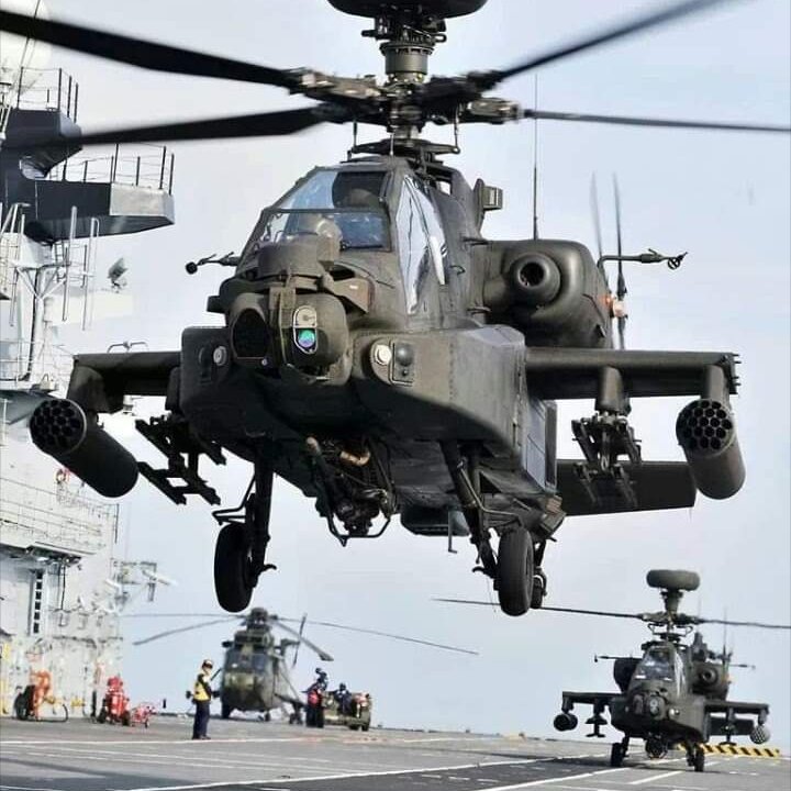 ¡ESTA ES LA ÚNICA PALOMA DE PAZ QUE VENEZUELA NECESITA!