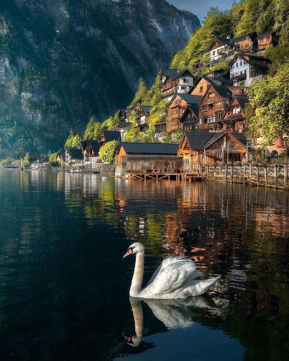 Beautiful Hallstatt, Austria ❤️ 
Photos by: <a href="/ilhan1077/">İlhankoo</a> [IG]