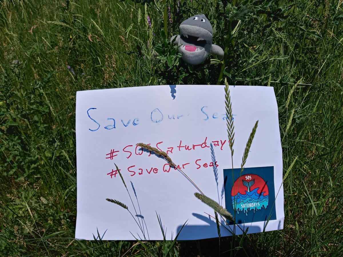 Endel Stamberg #FightFor1Point5 (@endelstamberg) on Twitter photo Week 6 #SosSaturdays #SaveOurSeas #SosDigital
"Climate change and nutrient pollution are driving the oxygen from our oceans, and threatening many species of fish."*
<a href="/SosSaturdays/">Save Our Seas Saturdays</a> <a href="/WorldOceansDay/">World Ocean Day</a> <a href="/TheOceanCleanup/">The Ocean Cleanup</a> <a href="/Greenpeace/">Greenpeace International</a> <a href="/oceana/">Oceana</a> Week 6 #SosSaturdays #SaveOurSeas #SosDigital
"Climate change and nutrient pollution are driving the oxygen from our oceans, and threatening many species of fish."*
<a href="/SosSaturdays/">Save Our Seas Saturdays</a> <a href="/WorldOceansDay/">World Ocean Day</a> <a href="/TheOceanCleanup/">The Ocean Cleanup</a> <a href="/Greenpeace/">Greenpeace International</a> <a href="/oceana/">Oceana</a>