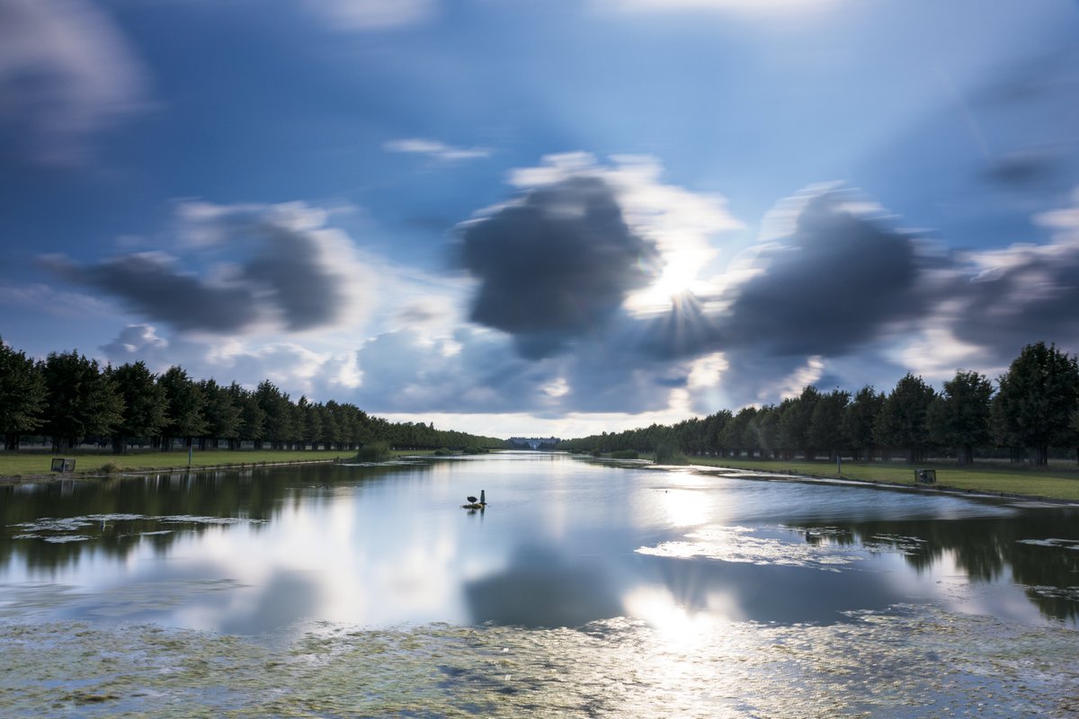 John Johnston tweet media