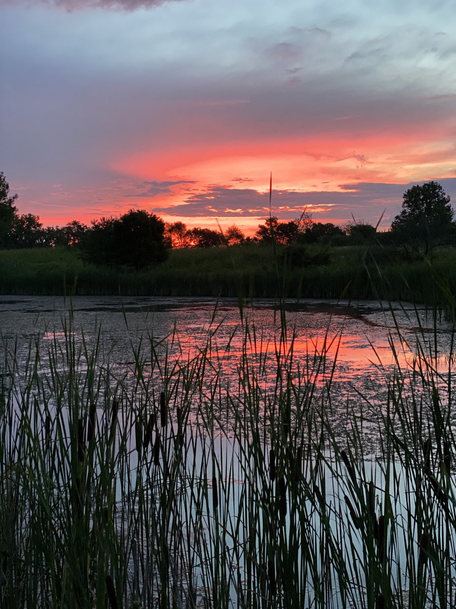 cantonparkdist's tweet photo. Mornin Canton... Strode Lake. South end looking East this morning.  Kind of amazing 😉 https://t.co/SvUhFQeizu