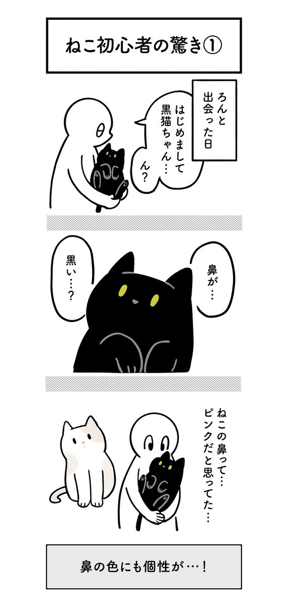 Akr 3巻でました 黒猫ろんさんと暮らしはじめた最初のときは ねこのこと全然知らなくていろんなことに驚いたな という思い出の絵日記 ろんの絵日記 Akr 3巻でました 黒猫ろんさんと暮らしはじめた最初のときは ねこのこと全然知らなくていろんなことに驚いたな という思い出の絵日記 ろんの絵日記