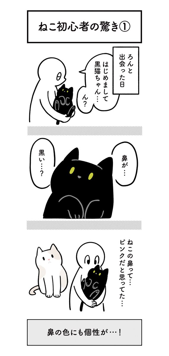 黒猫ろんさんと暮らしはじめた最初のときは、ねこのこと全然知らなくていろんなことに驚いたな〜という思い出の絵日記 #ろんの絵日記 