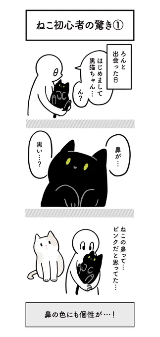 黒猫ろんさんと暮らしはじめた最初のときは、ねこのこと全然知らなくていろんなことに驚いたな〜という思い出の絵日記 #ろんの絵日記 