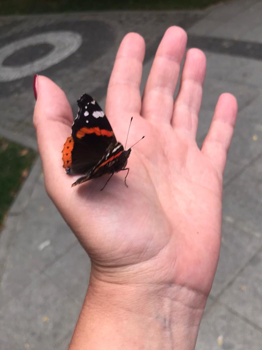 Birinin gerçeği başka birinin hayali. Birinin doğrusu ötekinin yanlışı. Birinin şansı diğerinin şanssızlığı. Hayat tamamen iyi veya kötü değil. Hem kimin için ne olduğundan sana ne. Kendine bak. Biliyor musun hayat senin için ne? Başkasının hayatını değil kendi hayatını yaşa.