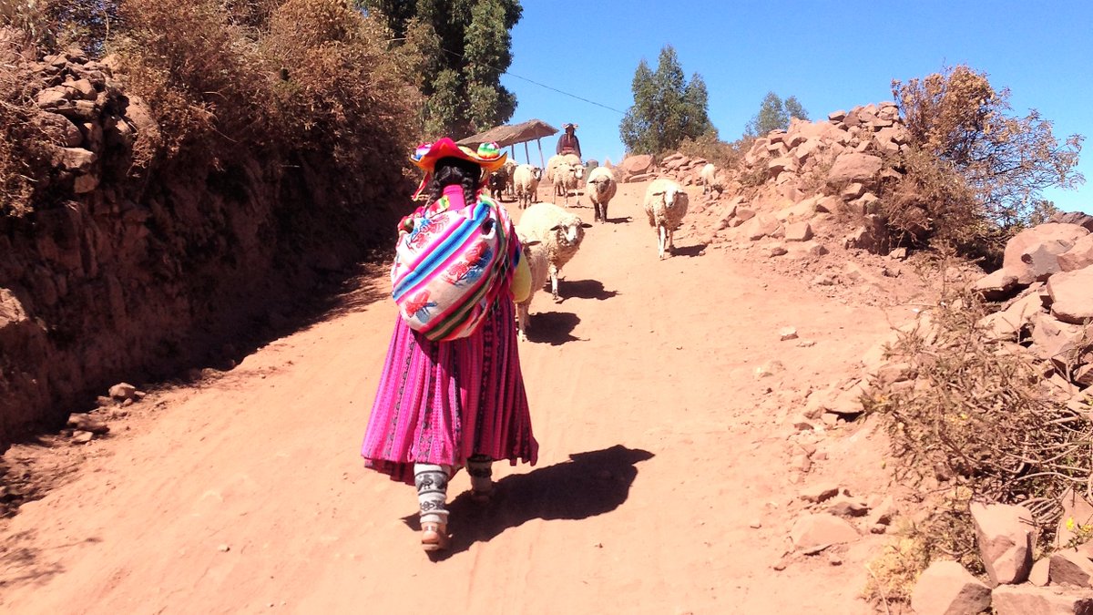 Spurenwechsler's tweet photo. Moin! Guten Morgen Ihr Lieben! Schönes Wochenende!
@Spurenwechsler: #Peru #Titicacasee #Capachica
https://t.co/Kj4V2VGSvn | https://t.co/Z1G81NZK5b
#Reiseblog #slowtravel #ThePhotoHour #fotografia
#FOTO #photography #Kultur #culture https://t.co/sLKuuKI8hu
