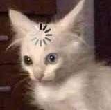 Luvico5's tweet image. Todo twitter tratando de entender la primera media hora de DARK  #DarkNetflix #Apocalipsis 😐