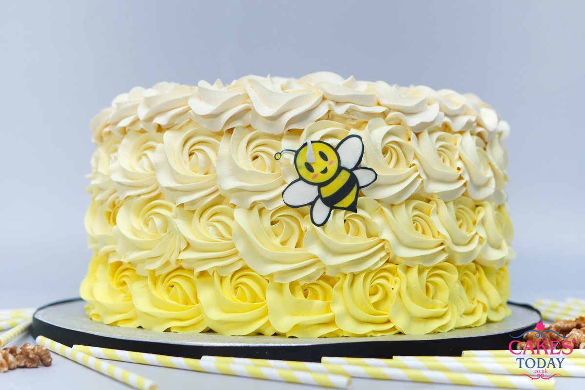 Bee Themed Cake (Easy Bee-utiful Beginner Recipe)