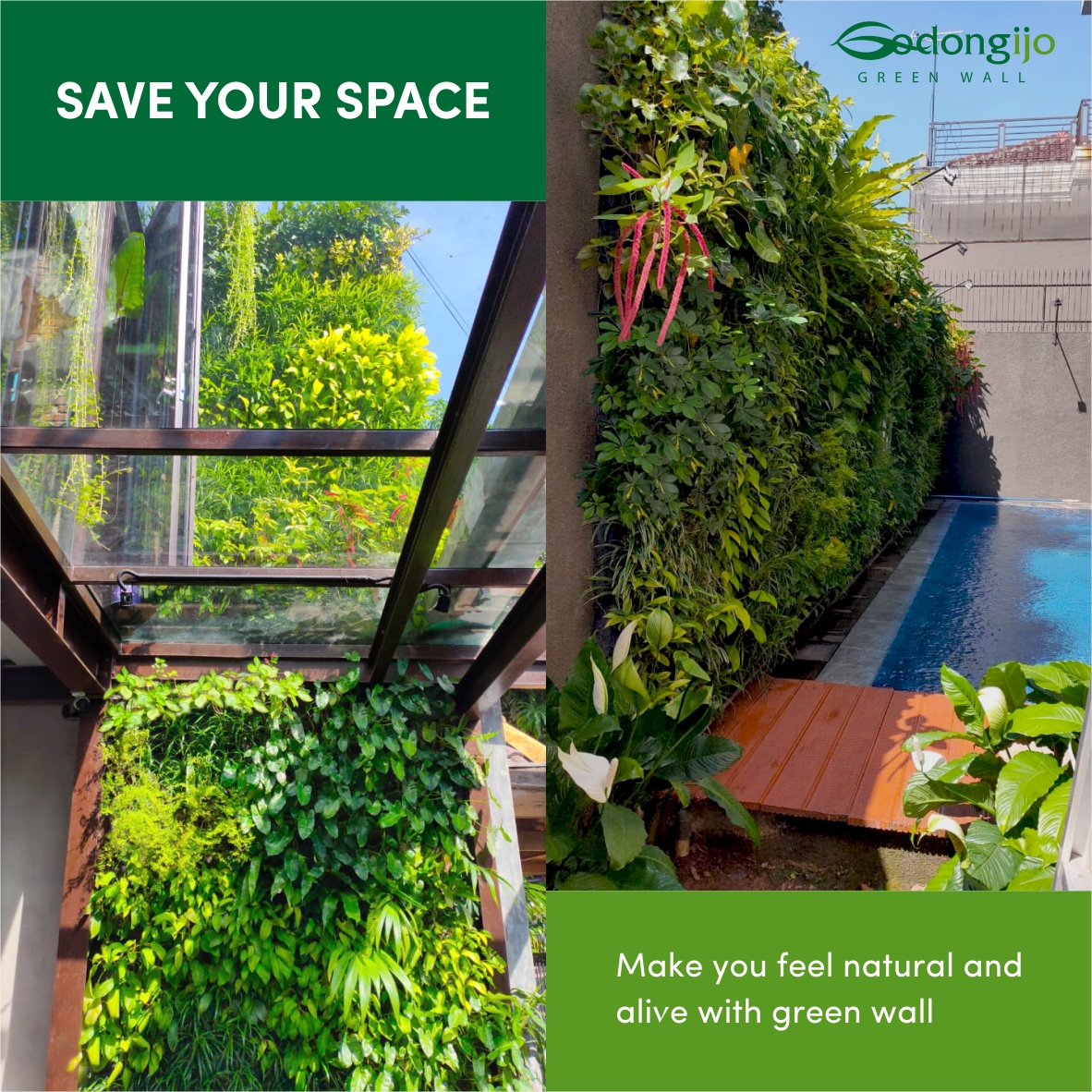 verticalgreenid's tweet photo. More info:
Call/WA: +62 812 9496 4358 | +62 813 8269 4434

#verticalgardenindonesia
#verticalgardenid
#godongijo
#jakarta
#depok
#greenfacades
#greenwall
#tropicalgarden
#roofgarden
#greenroof
#rooftopgarden
#greenourcity
#landscape
#greenbuilding
#homegardening https://t.co/pJ4Z10LECj