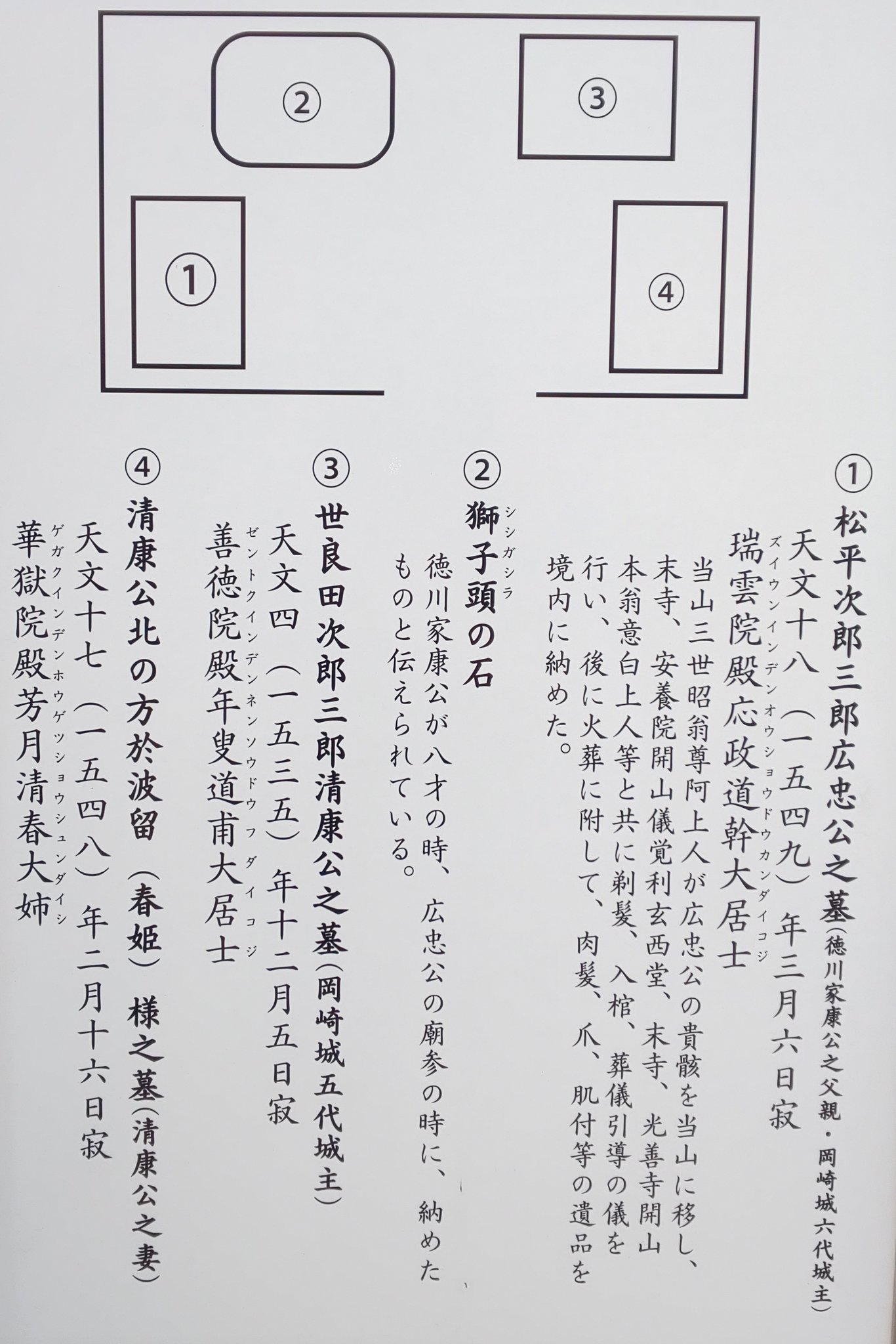 妻 徳川 家康