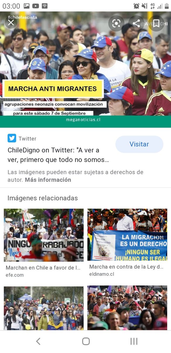 Pluma Blanca Feldman tweet media