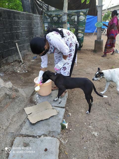 vrikshit's tweet image. &quot;The best satisfactory deed is to feed&quot;
Let&apos;s bring a change ,help us achieve the target of feeding 1 M street animal. To do this we don&apos;t need any money, all we need is a vision to bring change.

#FeedAnimalsOnStreet #Mission1M #FAOS #FeedAnimals #AnimalRights #AnimalWelfare