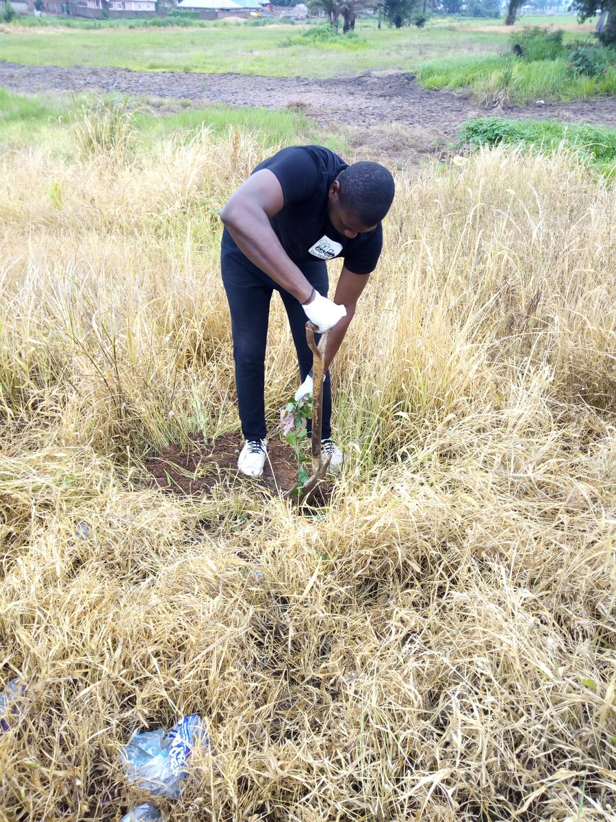 DevTrainNg's tweet image. #PlantAHope
#TreesForTheFuture
#TreePlantingCampaign
#SustainableYouthDevelopment