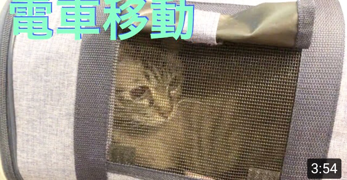 kumi oda (@azuki56)  Twitter