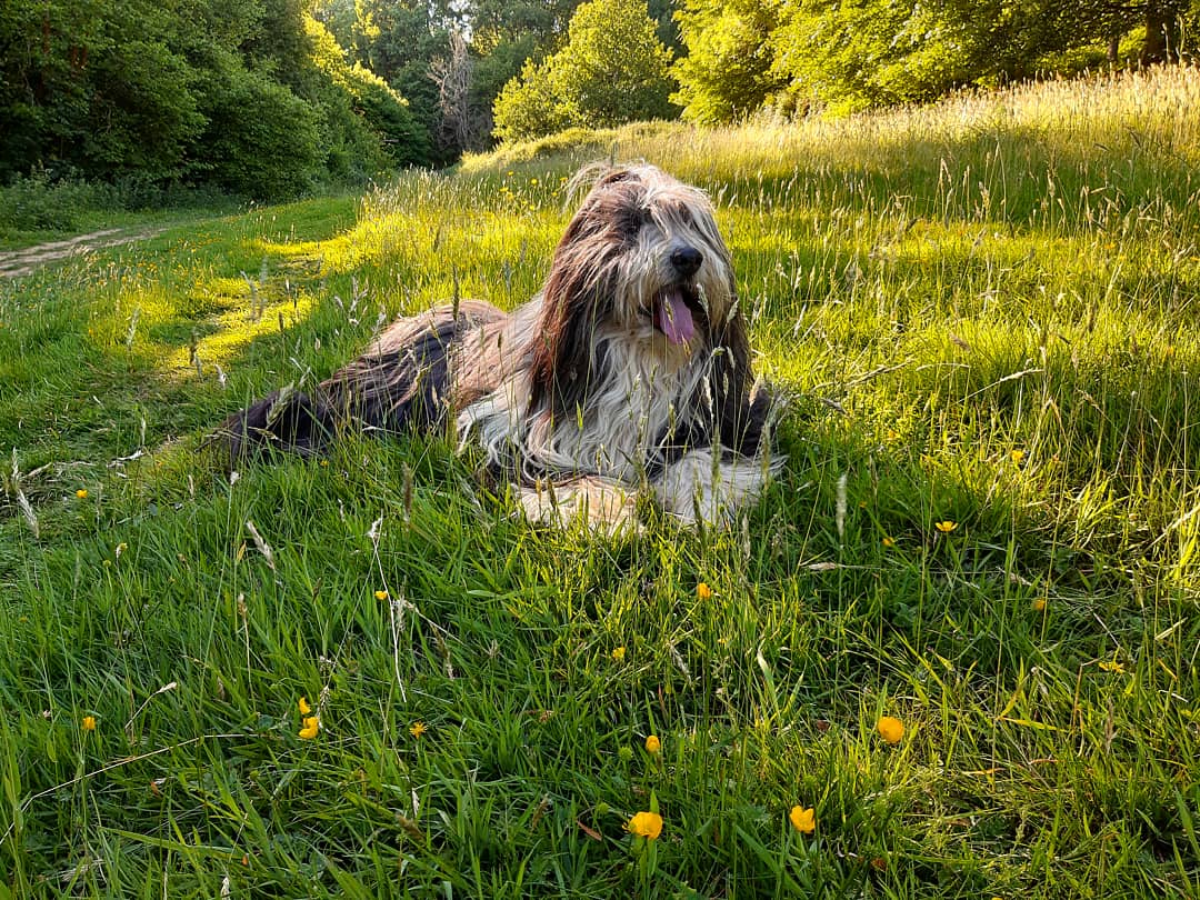 Jane Hambrook tweet media